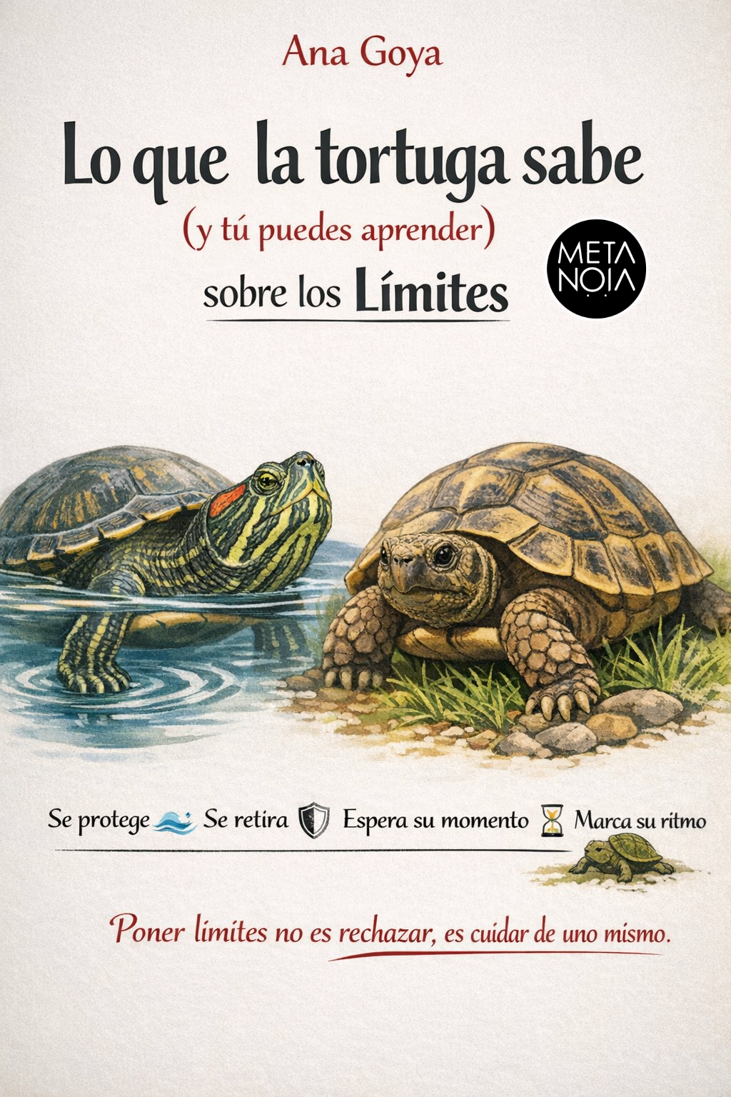 Tortugas y Límites Metanoia